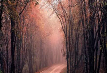 南宫28体育：[德甲]主场战平弱旅 多特蒙德六场不胜.