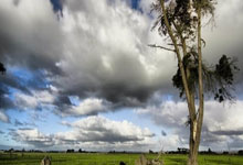 枪魔战！阿森纳盼取胜保争冠希望 塔帅与阿莫林演少帅对决.