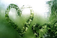 南宫28体育：加拿大羽球名将李文珊自曝遭到吸毒者袭击，肋骨受伤.